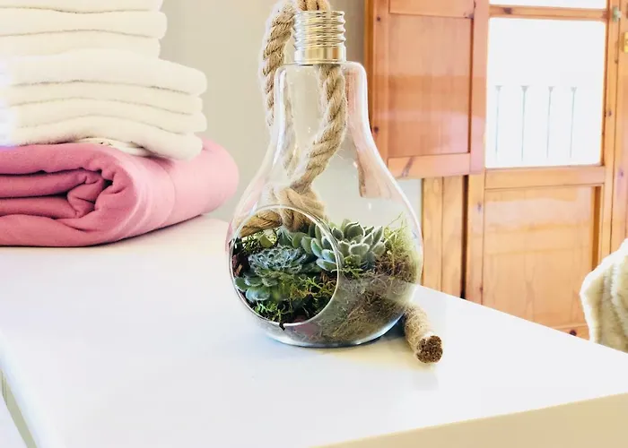 Oupen De Dor El Pilar - Manifestacion